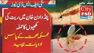 Attack of Sand fly in Pind Dadan Khan 