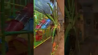 Ресторан Детский #shorts