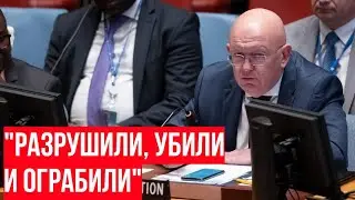 Выступление Небензи - Лондон ЗАМОЛЧАЛ