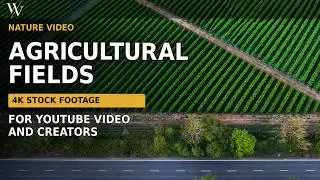 Agricultural Fields 4K Stock Footage for YouTube Video and Creators