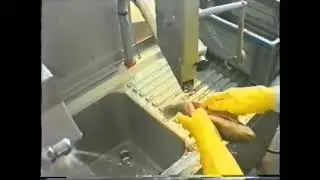 Стол для потрошения рыбы с вакуумным насосом AGK