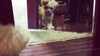Coco from Instagram / 20180117