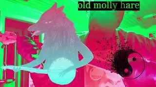 learning Old Molly Hare on banjo...