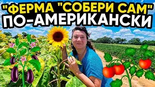 ПРОВИНЦИАЛЬНАЯ АМЕРИКА 🗽ФЕРМА СОБЕРИ САМ, КАФЕШКА, ПЕКАРНЯ НА КУРЬИХ НОЖКАХ. ЕДЕМ В МИССИСИПИ!