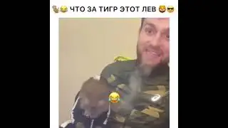 Приколы Россия