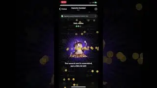 Комбо дня 16 июня #hamsterkombat #hmstr #combo  Ссылка на игру в комментарии.