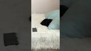 тгк: litapishettebe