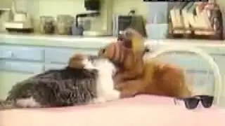 Alf trata de comerse a suertudo