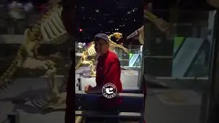 9 Foot Tall, 600 Pound Ground Sloth Skeleton