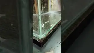 Течет аквас
