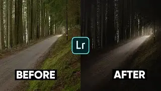 Lightroom Mobile Radial Filter Tips | 4 tricks you've never tried before