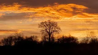 Wann gibt es MORGENROT 🌅 und WIE kannst du es für deine FOTOGRAFIE vorhersagen?