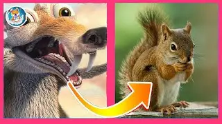Ice Age All Characters IN REAL LIFE- LEYA PRO- 2022