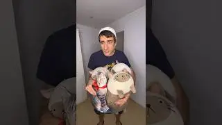 Cat thief and kittens 