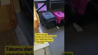 Hen tedavideki canlar hem eski birikmiş taburcu olan canlar için klinik için desteğe ihtiyaç  var