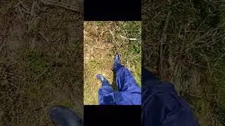 ядовитая змея чуть не укусила не одевайте тапочки
