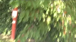 Прогулка Хевиз_1