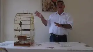 Como encartar canto do curio