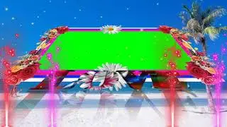 wedding Green screen effects background HD Video 217