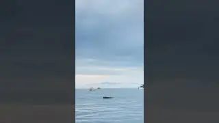 Сочи,море,яхты. 6 мая