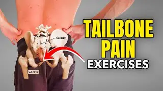 Tailbone Stretches and Exercises to Relieve Pain