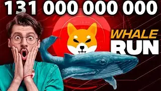 Shiba Inu WHALE BUYS 131 BILLION SHIB!!!