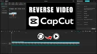 How To Reverse A Video In Capcut PC 2025 | Capcut Desktop