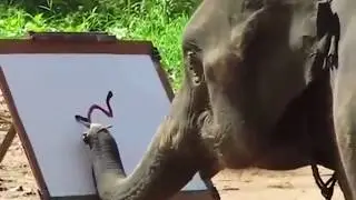 Невероятно! Слон рисует автопортрет хоботом。Elephants paint elephants