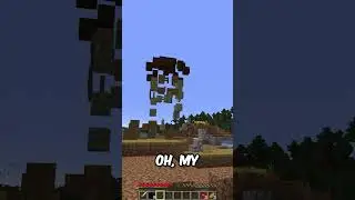 Minecraft, but any Block i say gets removed from the game!