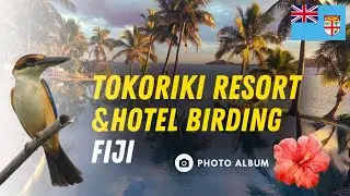 Tokoriki Resort & Hotel Birding, Fiji