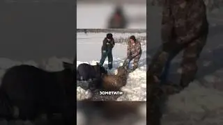 ЖИВОТНОЕ В ВОДЕ😭😭😭