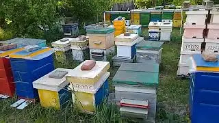 4 мая. на весах минус