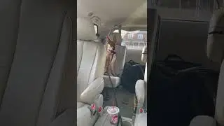 I guess she needed some space.