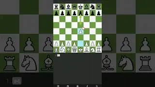 The Top 3 First Moves In Chess
