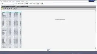 Customized Page Format