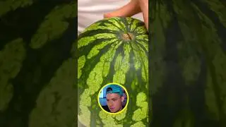 Life Hack-uri folosind un pepene