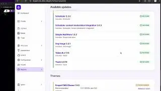 Using composer to update modules and themes.