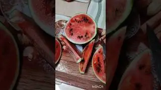 Свой арбуз 🍉 с теплицы..Сочный, сладкий #теплицаурожай #вырастили #арбузы