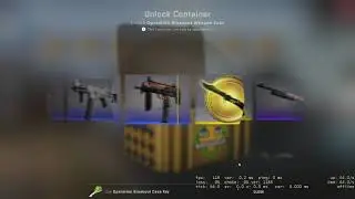 BUTTERFLY KNIFE UNBOXING