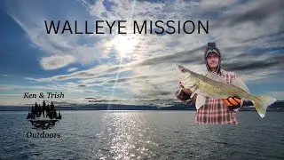 Spring Walleye and Ned Rigs
