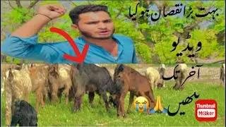 Funny vlogs 😁😄 # 1000k views  please 🙏 support me # 2000k Subscribe kar # 🙏 new vlogs # Like
