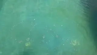 Quantos minutos posso usar a piscina após o uso do peróxido?