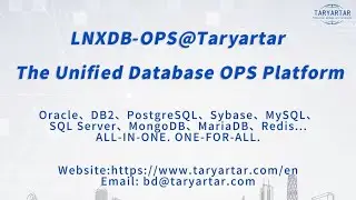 Explore the physical structure of database clusters in PostgreSQL! 🖥️ 