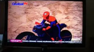 Indonesian Terrestrial Television - インドネシアのテレビ局