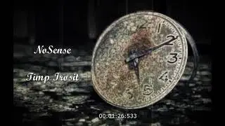 NoSense - Timp Irosit ( Official audio 2021 )