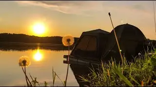 Carp fishing at the recreation center Stadium | Kursk region | RSC Stadium | Carp fishing 2025