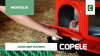 Ponederos Platinum - Montaje | Copele