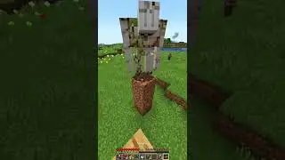 Minecraft crazy moment
