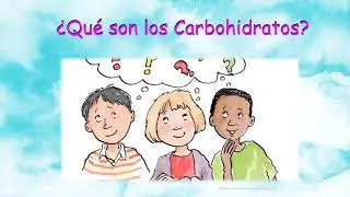 ¿Qué son los carbohidratos?