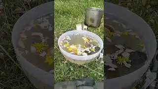 ⚖️Чистка воском ‼️В потоке💯🪃